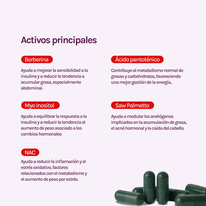 A CONTROL - EQUILIBRIO METABOLICO